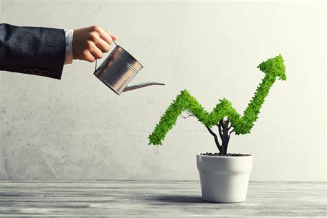 A Focus on Balanced Growth .